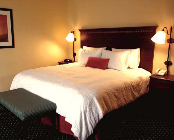 Hampton Inn Murphy Chambre photo